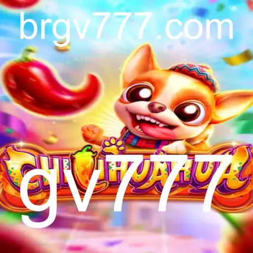 Descubra o Universo de CHILIHUAHUA: Uma Aventura Inovadora